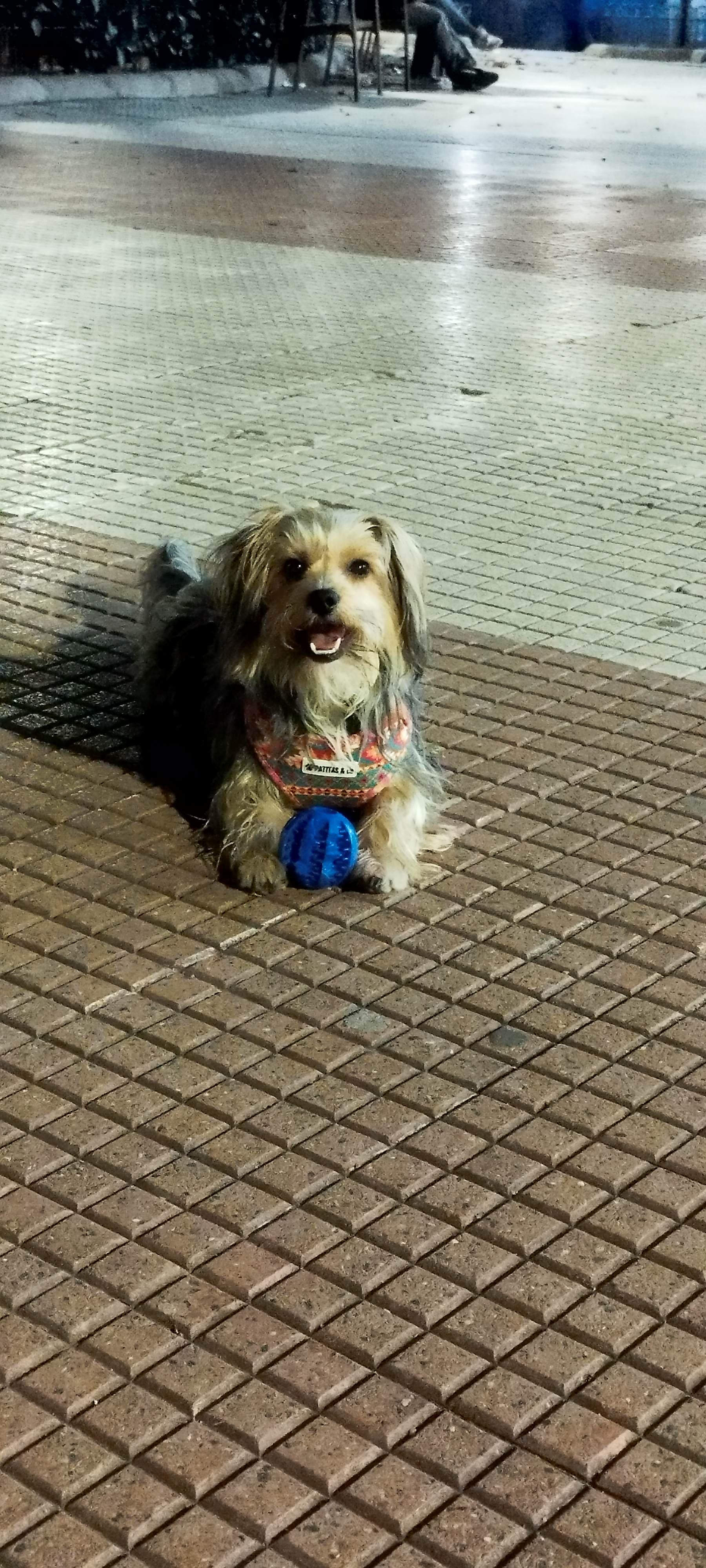 Andrea P.